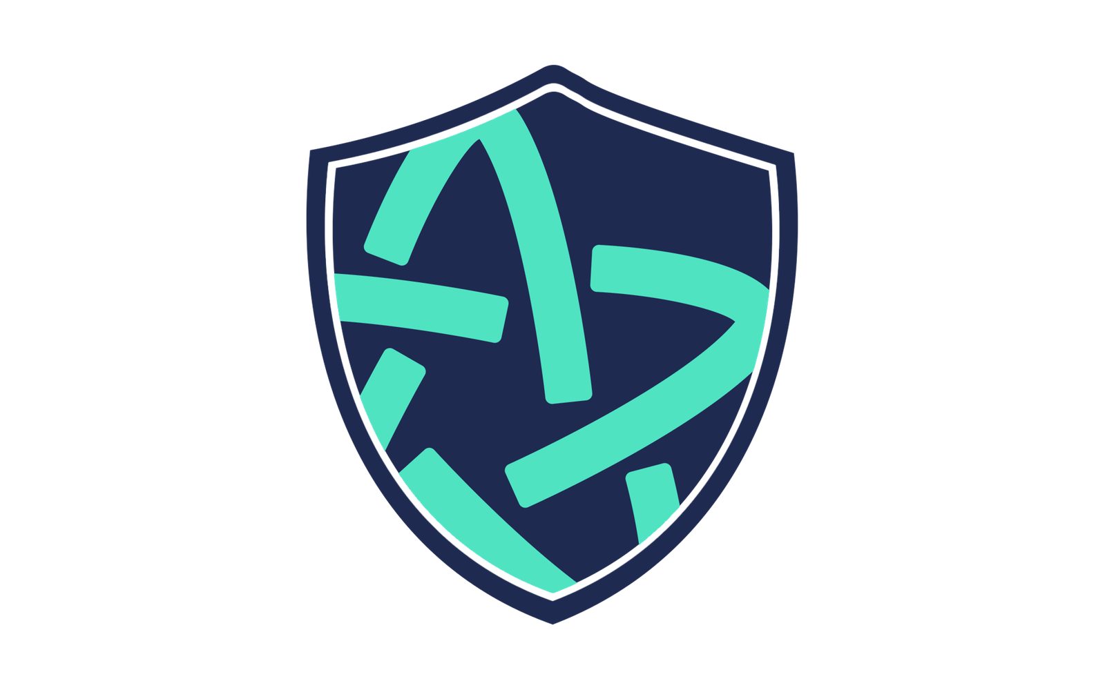 STRLY protection shield